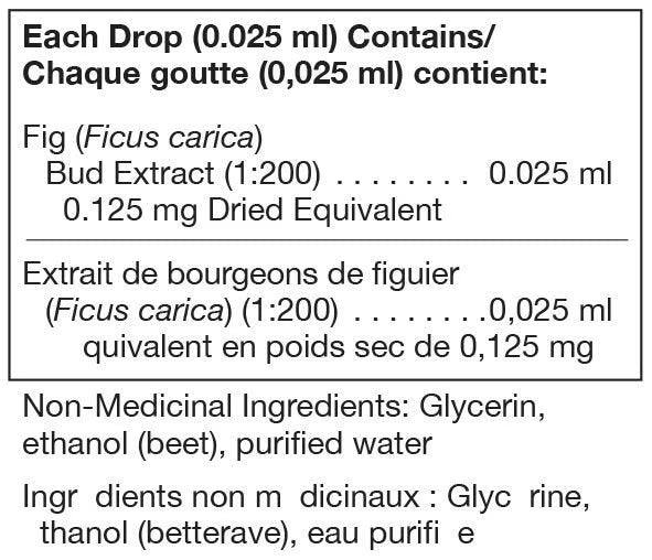 Gemmo Ficus Carica - 125ml par UNDA
