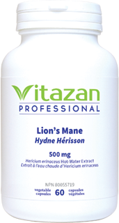 Hydne Hérisson 500 mg - 60 capsules végétales par Vitazan