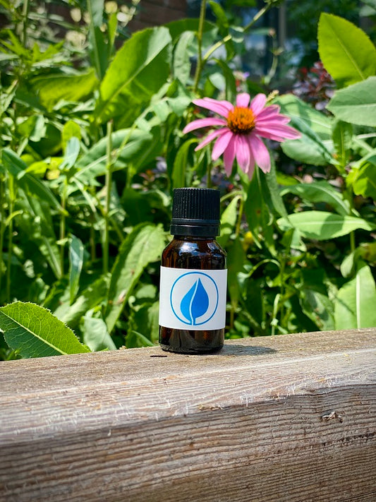 Clove and Lime Essential Oil (Huile essentielle de clou de girofle et de lime)  - 15ml par Perfect Herbs