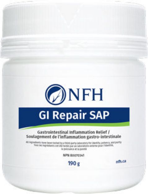 GI Repair SAP - 190 g par NFH