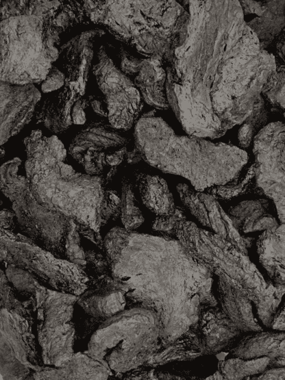 Rehmannia glutinosa par Perfect Herbs